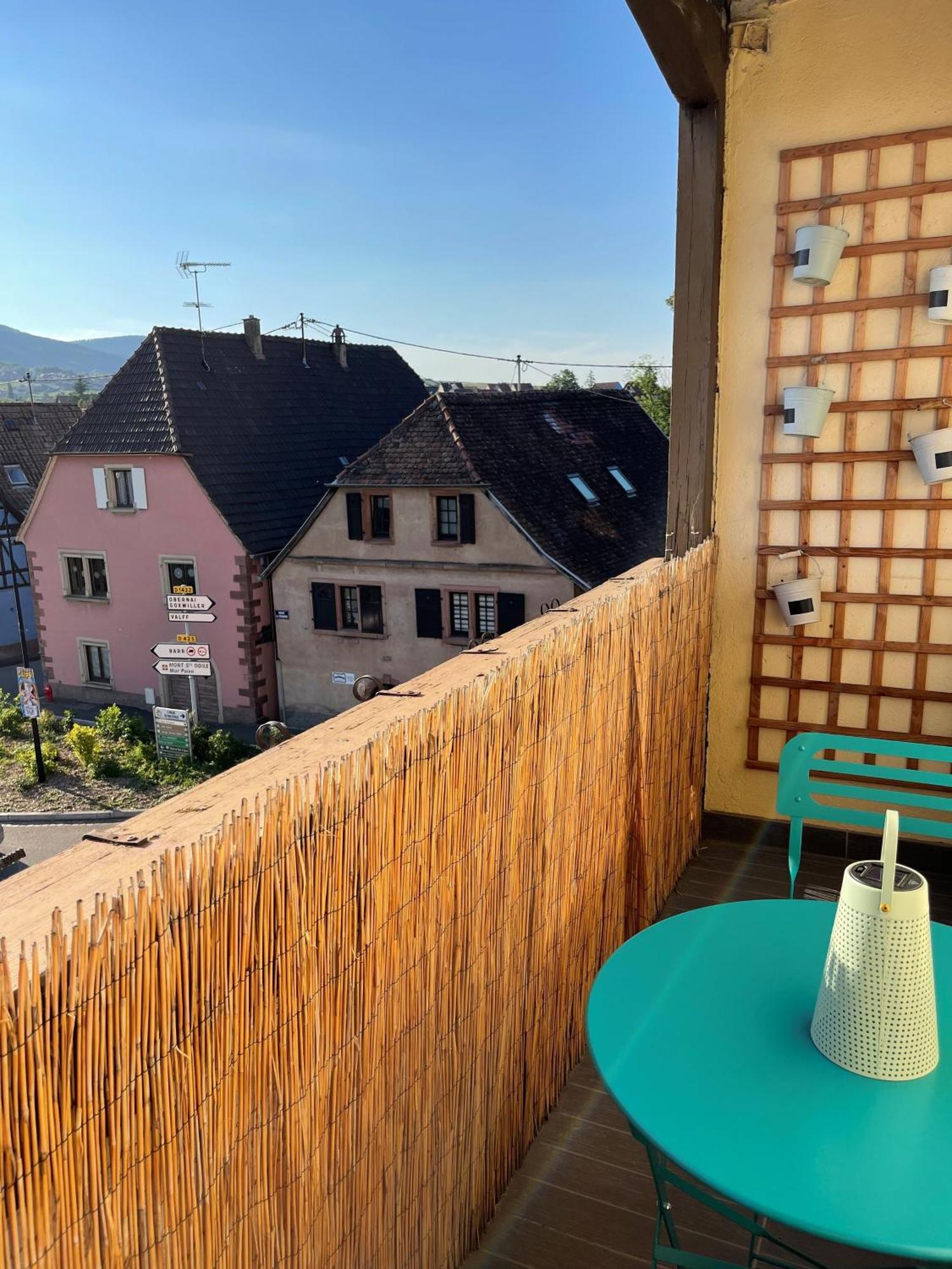 Appartement Centre Alsace Gertwiller 外观 照片