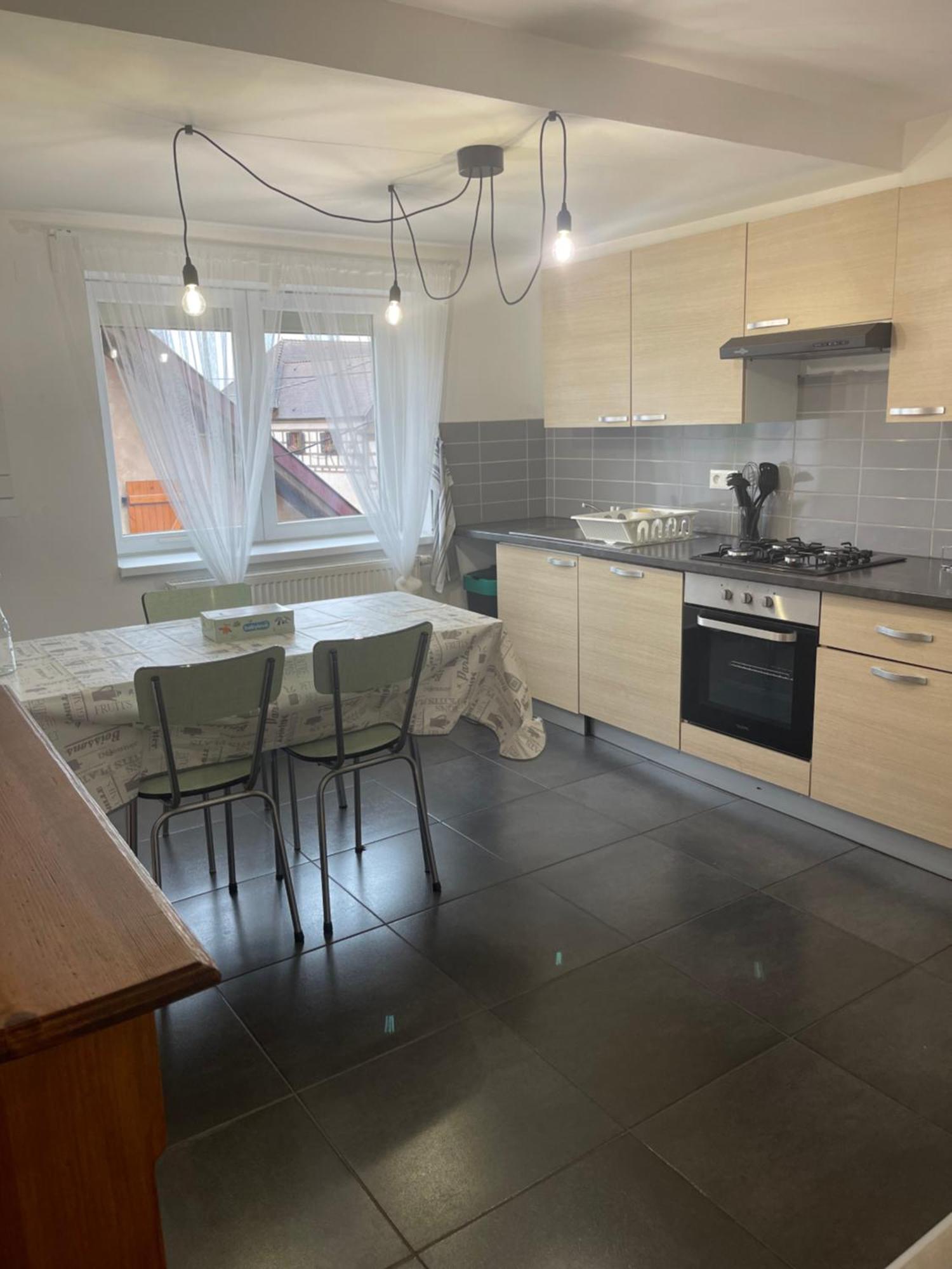 Appartement Centre Alsace Gertwiller 外观 照片