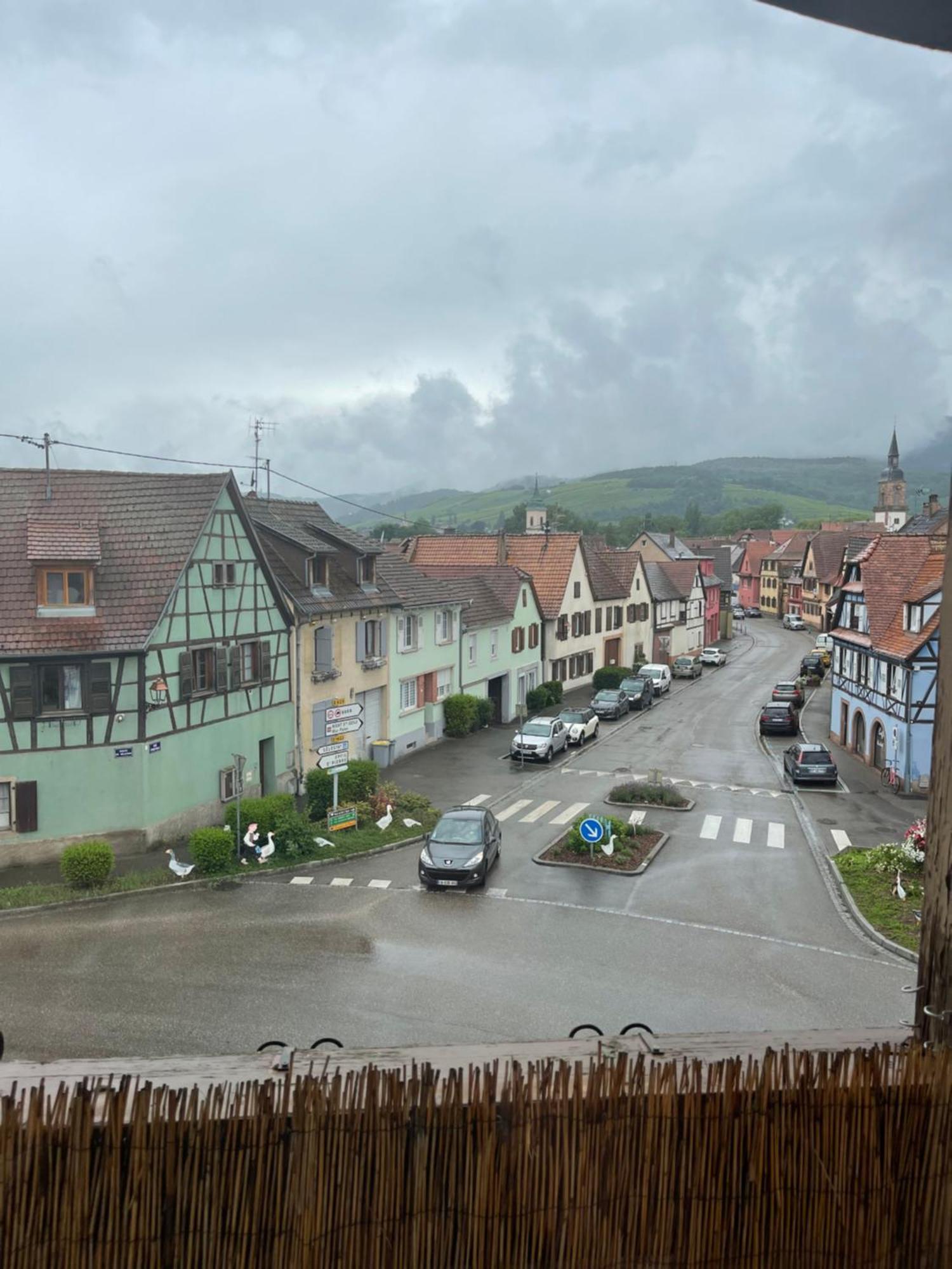 Appartement Centre Alsace Gertwiller 外观 照片